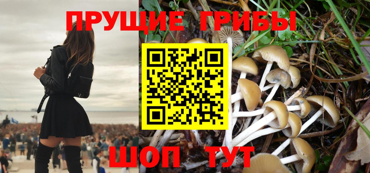 Реутов  Галлюциногенные грибы Psilocybine cubensis  Вход с VPN 
